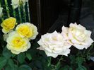 20140607_155722