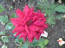 20140607_155522