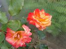 20140607_155515