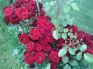 20140607_155458