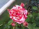 20140607_155447