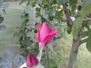 20140607_155431