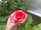 20140607_155417