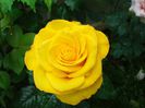 20140607_155357