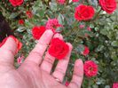 20140607_155254