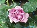 20140607_155006