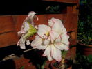 IMG_20140608_083319