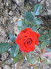 IMG_20140608_083200