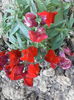IMG_20140608_083210
