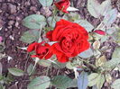 IMG_20140608_082955