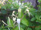DSCN5286