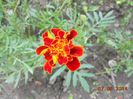 DSCN5337
