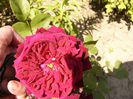 P1220431