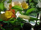 DSC09406