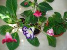 DSC09399