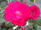 IMG_20140603_113752