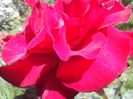 IMG_20140603_113805