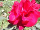 IMG_20140603_113807