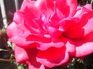 IMG_20140603_113817