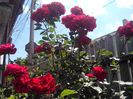IMG_20140603_113844