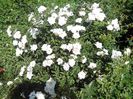 IMG_20140603_113857