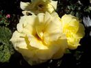 IMG_20140603_113930