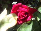IMG_20140603_113940