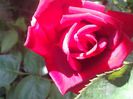 IMG_20140603_113944
