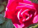 IMG_20140603_113948