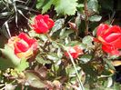 IMG_20140603_114029