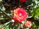 IMG_20140603_114035