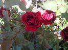 IMG_20140603_114048