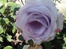 IMG_20140603_114114