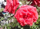 IMG_20140603_114148