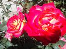 IMG_20140603_114220