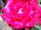 IMG_20140603_114240