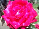 IMG_20140603_114243