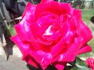 IMG_20140603_114245
