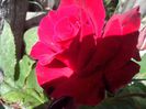IMG_20140603_114307