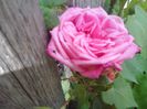 IMG_20140603_114417