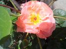 IMG_20140603_114458