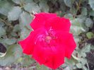 IMG_20140603_114511