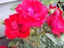 IMG_20140603_114520
