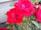 IMG_20140603_114522