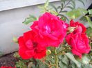 IMG_20140603_114527