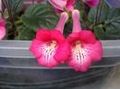 DSC09393