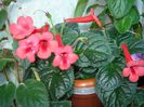 DSC09380