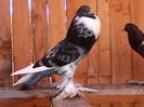 IMG_20140608_165534