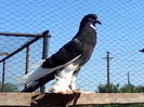 IMG_20140608_165503