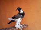 IMG_20140608_165420